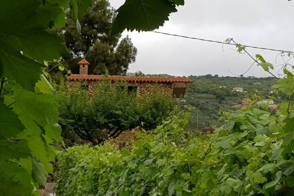 La Tagora Conect With The Nature & Relax Icod De Los Vinos Exterior photo