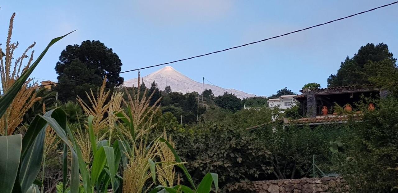 La Tagora Conect With The Nature & Relax Icod De Los Vinos Exterior photo